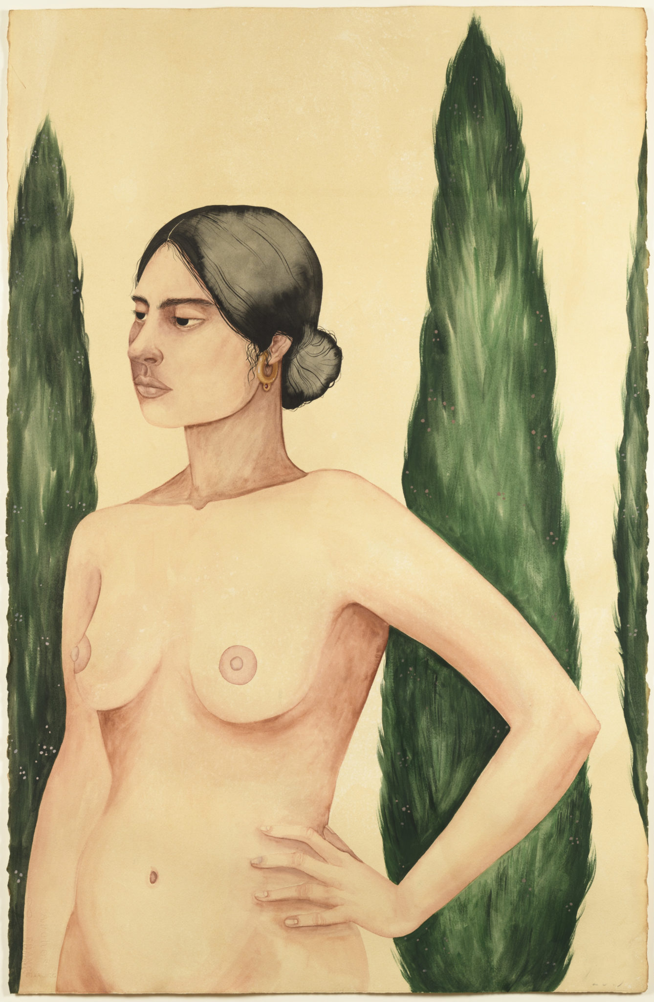 Cypress