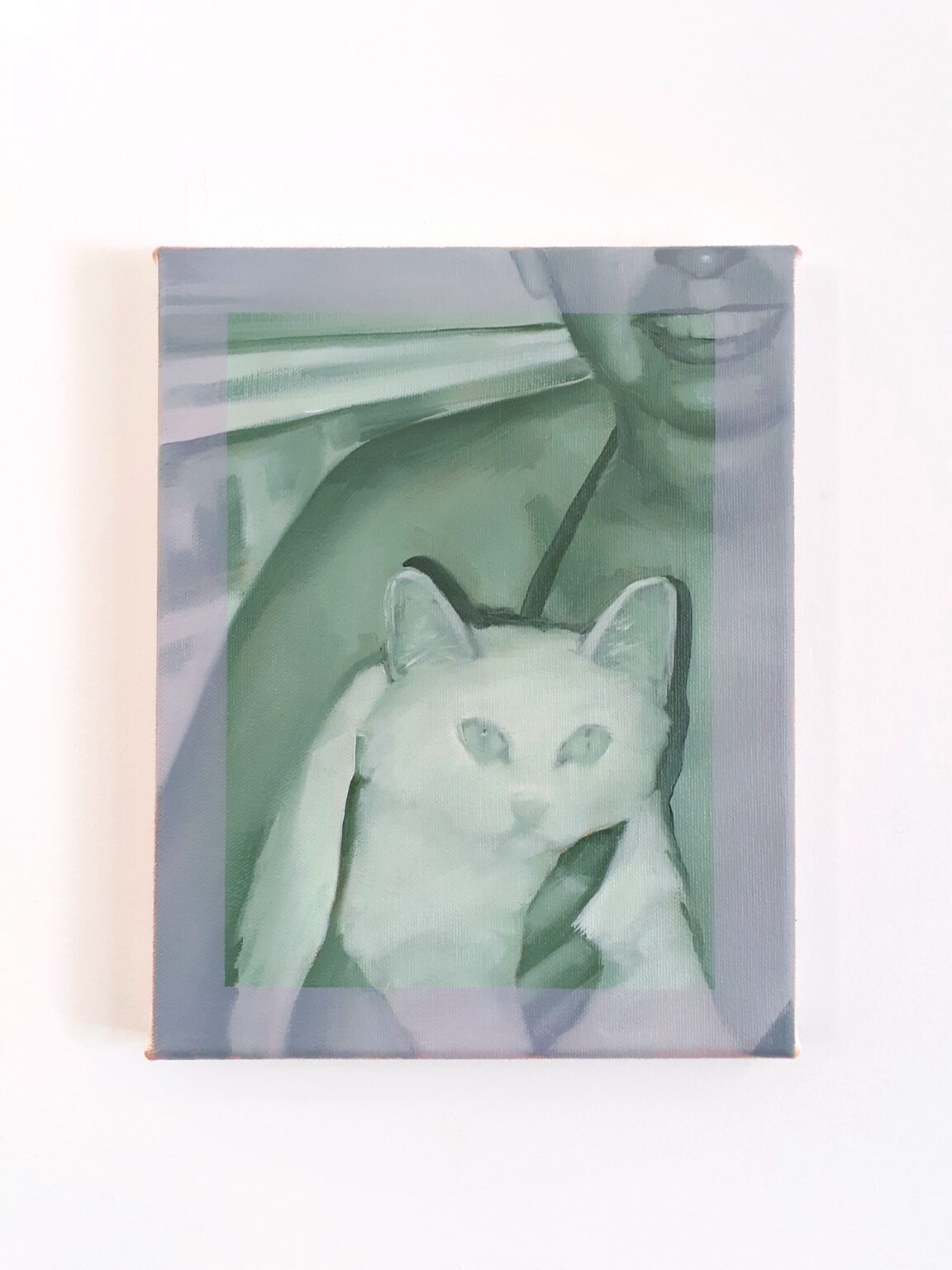 Boat Cat - Image 2