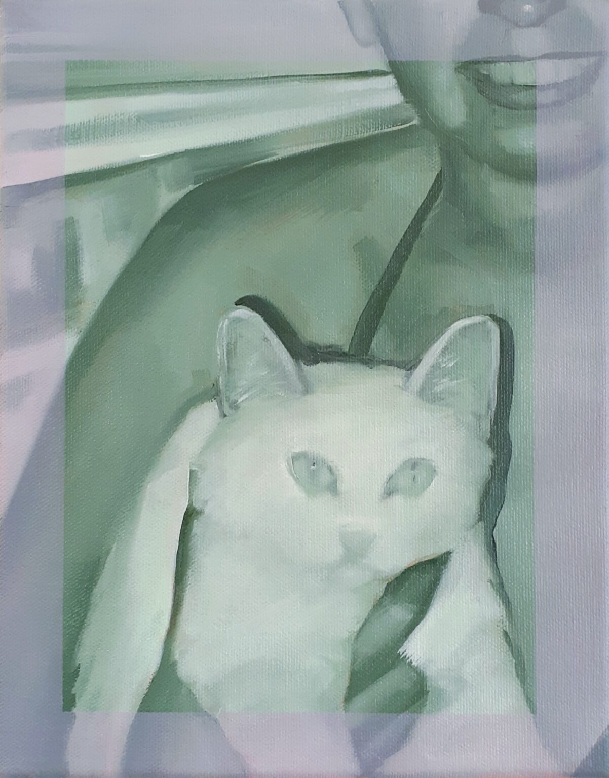 Boat Cat