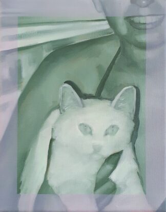 Boat Cat