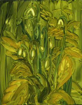 Woodland Snowdrops, 2022