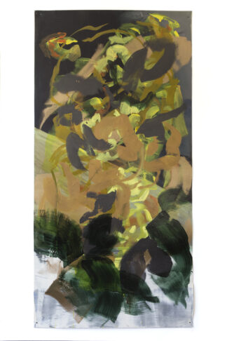 Four Seasons: Another life its true, 2019