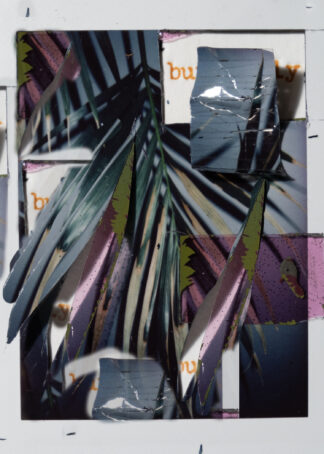 Palms, 2020