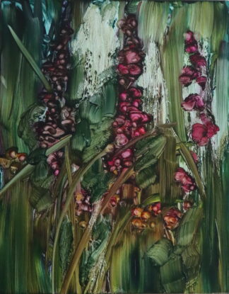 Purple Loosestrife