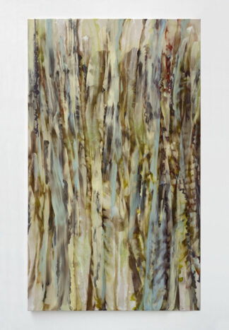 Travellers through horizons and overflow